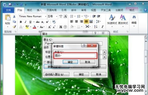 word2010如何為圖片添加題注