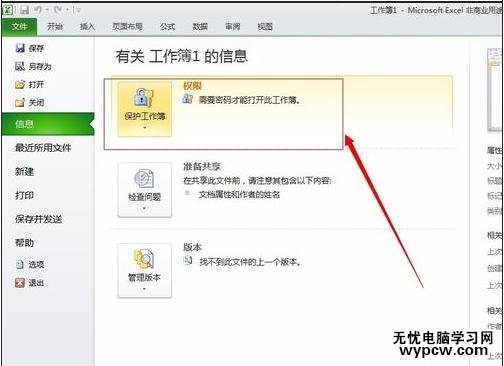 excel2010如何設(shè)置密碼的方法