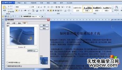 Word中2007版進行設置背景顏色的操作技巧
