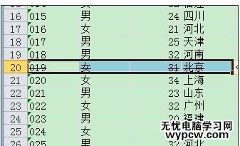 excel2010添加刪除線的教程