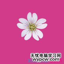 Photoshop合成實例:美麗花草裝飾藝術字