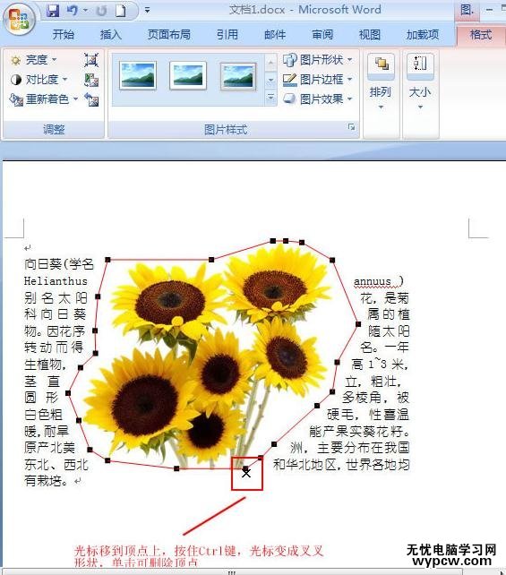 word2007圖片緊密環繞文字的兩種技巧
