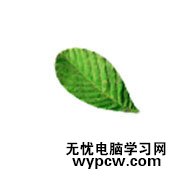 Photoshop合成實例:美麗花草裝飾藝術字