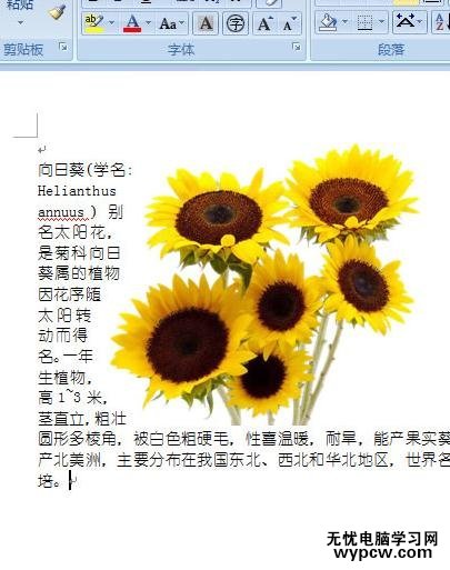 word2007圖片緊密環繞文字的兩種技巧
