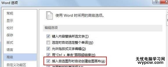 word2010和2013中如何創建繪圖畫布