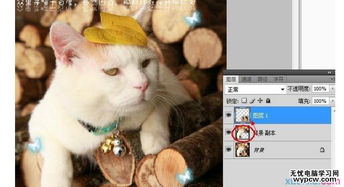 PS圖片動態簽名教程制作