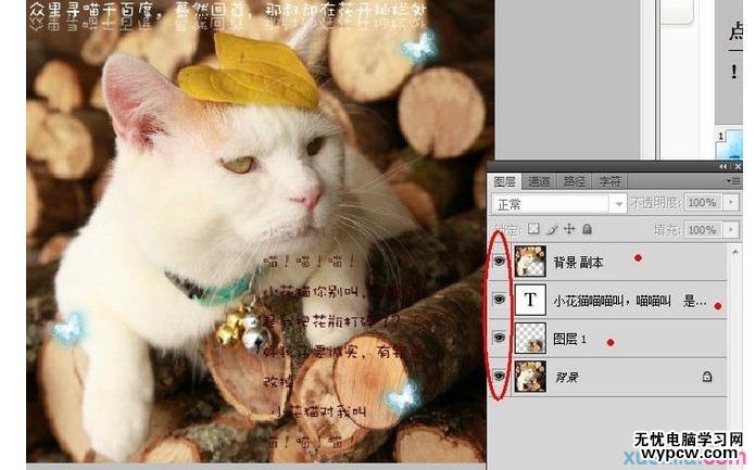 PS圖片動態簽名教程制作