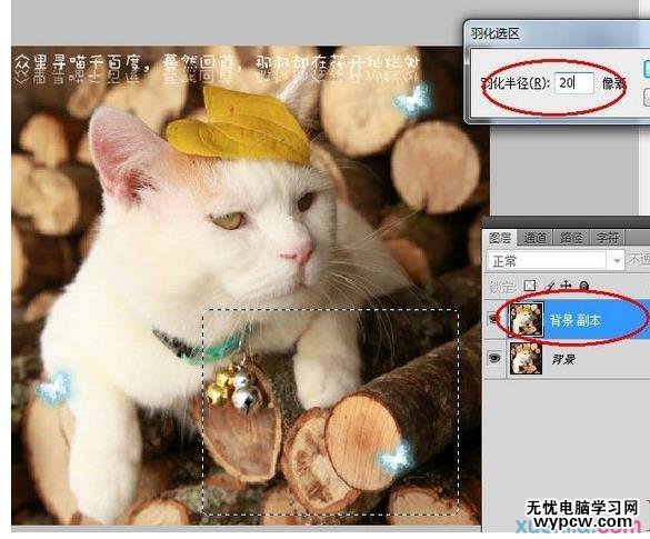 PS圖片動態簽名教程制作