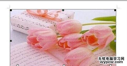 word2007如何制作婦女節電子賀卡