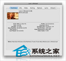 MAC系統怎么更改iTunes中的視頻類型