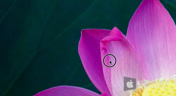 mouse highlight 突出鼠標點擊