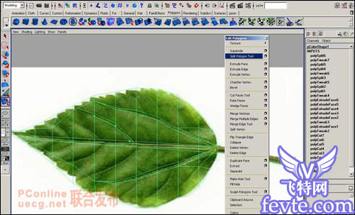 用maya制作逼真的樹(shù)葉 武林網(wǎng) MAYA建模教程