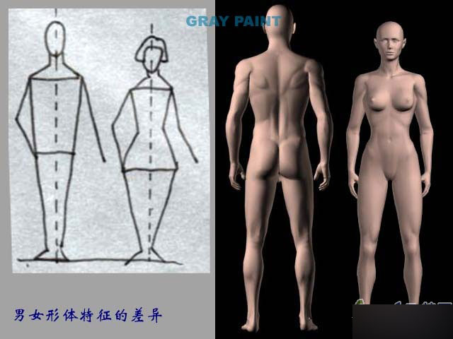 MAYA人物建模教程 人物造型 武林網(wǎng) MAYA建模教程