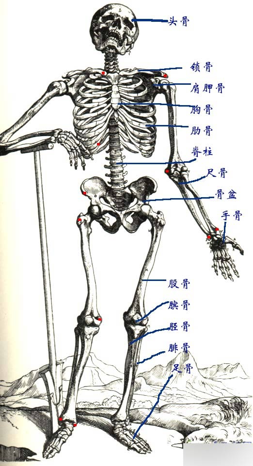MAYA人物建模教程 人物造型 武林網(wǎng) MAYA建模教程