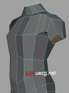 MAYA建模教程:人體軀干的建立