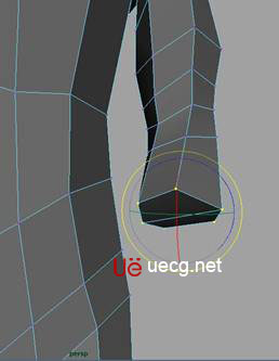 MAYA建模教程:人體軀干的建立