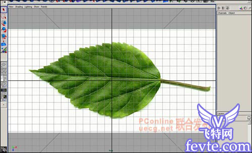 用maya制作逼真的樹(shù)葉 武林網(wǎng) MAYA建模教程