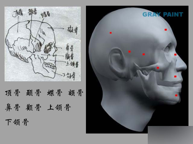 MAYA人物建模教程 人物造型 武林網(wǎng) MAYA建模教程