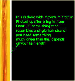Maya PaintEffects 制作頭發(fā) 武林網(wǎng) MAYA角色動(dòng)畫教程