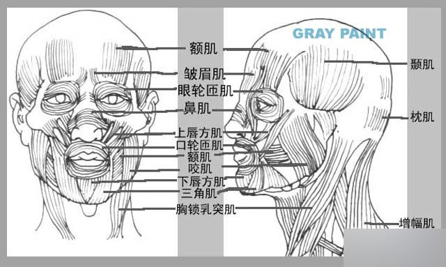 MAYA人物建模教程 人物造型 武林網(wǎng) MAYA建模教程