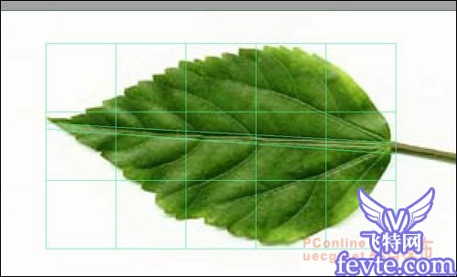 用maya制作逼真的樹(shù)葉 武林網(wǎng) MAYA建模教程