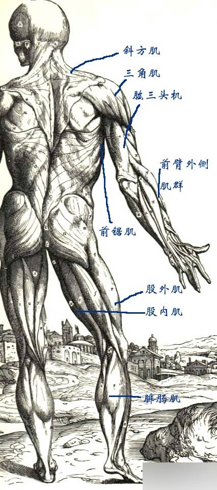 MAYA人物建模教程 人物造型 武林網(wǎng) MAYA建模教程