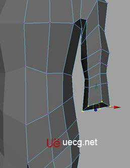 MAYA建模教程:人體軀干的建立