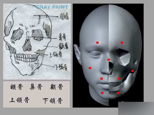 MAYA人物建模教程 人物造型 武林網(wǎng) MAYA建模教程