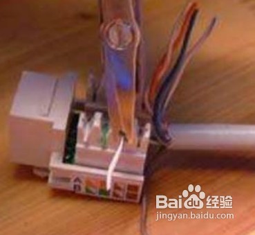 網線插座接法，網線模塊制作及其安裝