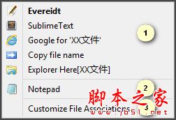 XYplorer 實用技巧之:內置文件關聯(Portable File Associations) 實用技巧之:內置文件關聯(Portable File Associations) - 羊叔 - 大叔學電腦