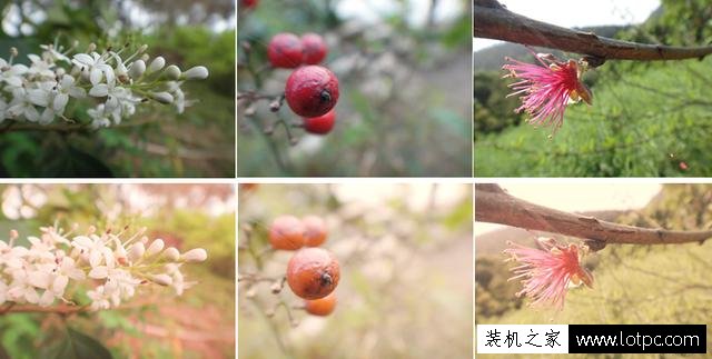 PS調(diào)色技巧教程:Photoshop軟件三種適合新手的快速調(diào)色法