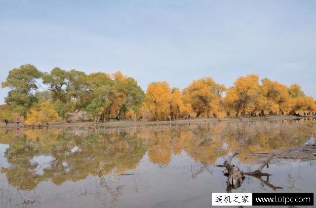 如何使用Photoshop軟件將灰蒙蒙風景照片調整為明亮唯美效果