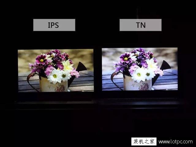 筆記本電腦IPS屏和TN屏有什么區別？IPS屏和TN屏哪個好？