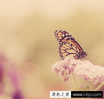 PS調(diào)色技巧教程:Photoshop軟件三種適合新手的快速調(diào)色法