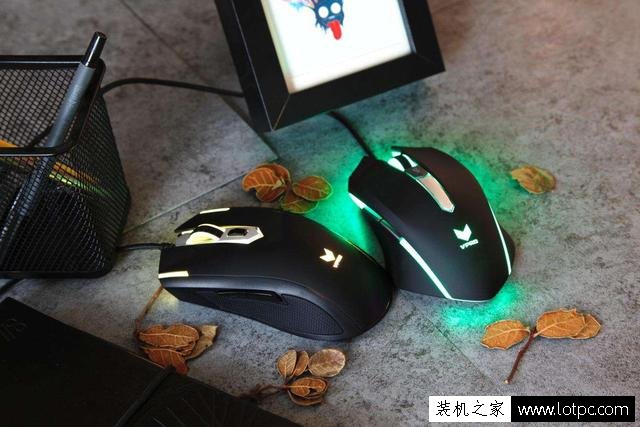 如何選擇合適的鼠標(biāo) 選擇電腦鼠標(biāo)的五點(diǎn)注意事項(xiàng)