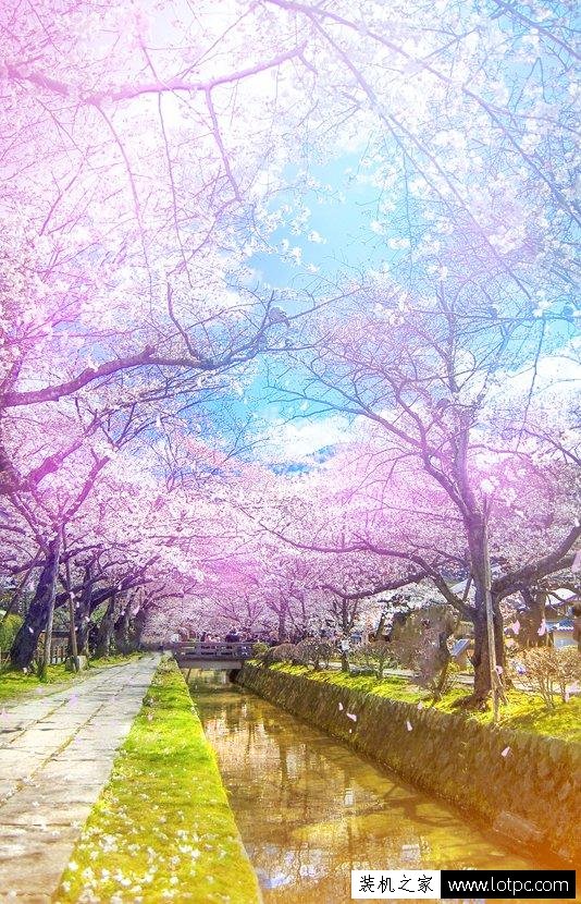 如何使用PhotoShop制作明亮感的動漫場景效果