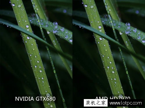 買電腦時,電腦銷售口中的A卡與N卡到底是什么意思?