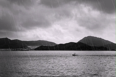 ae,下雨插件,動畫