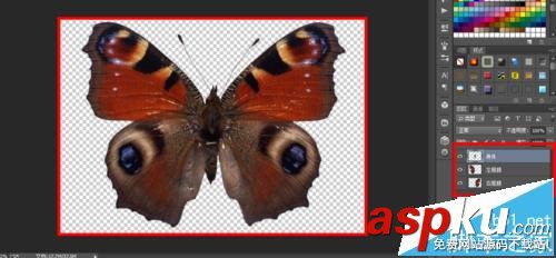 ae中怎么導入ps圖片制作蝴蝶紛飛的動畫? ae,ps,動畫