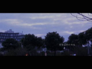 ae,字體