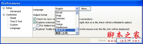使用mediainfo軟件檢測原視頻文件的視頻參數信息教程 Mediainfo,視頻參數