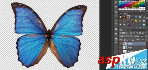 ae中怎么導入ps圖片制作蝴蝶紛飛的動畫? ae,ps,動畫