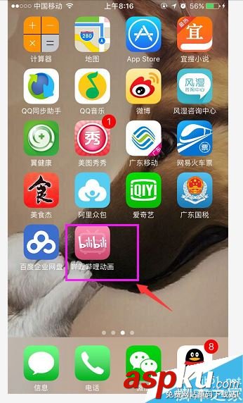 b站如何搜索用戶?嗶哩嗶哩bilibili搜索用戶全教程 b站,bilibili