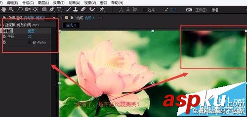 AE怎么清除視頻里面的水印logo等信息? 水印,AE,視頻
