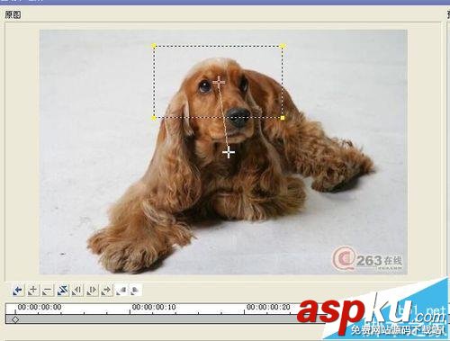 會聲會影怎么制作圖片按軌道移動的動畫? 會聲會影,動畫
