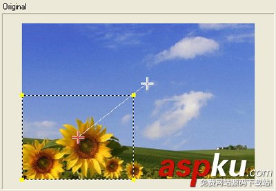 會聲會影自帶的自動搖動和縮放功能使用教程 會聲會影,縮放
