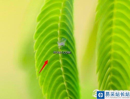 怎么看一張圖片是不是透明的方法