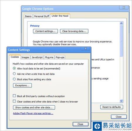 Chrome 4.1正式推出：增翻譯和隱私功能(圖)