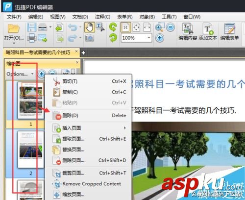 PDF,頁面