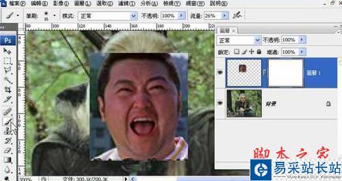 Photoshop移花接木教程 惡搞人面合成